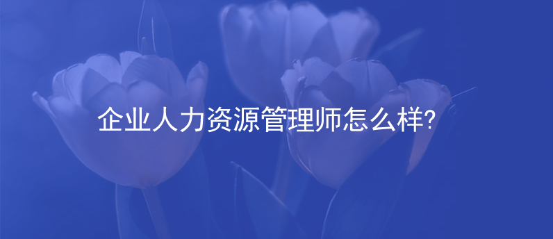 企业人力资源管理师怎么样?